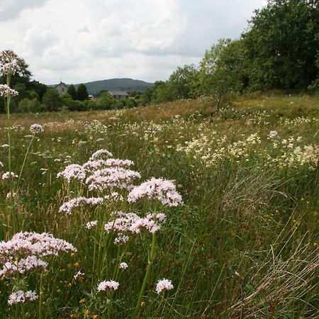Snowdonia Shepherds' Huts Conwy Bagian luar foto