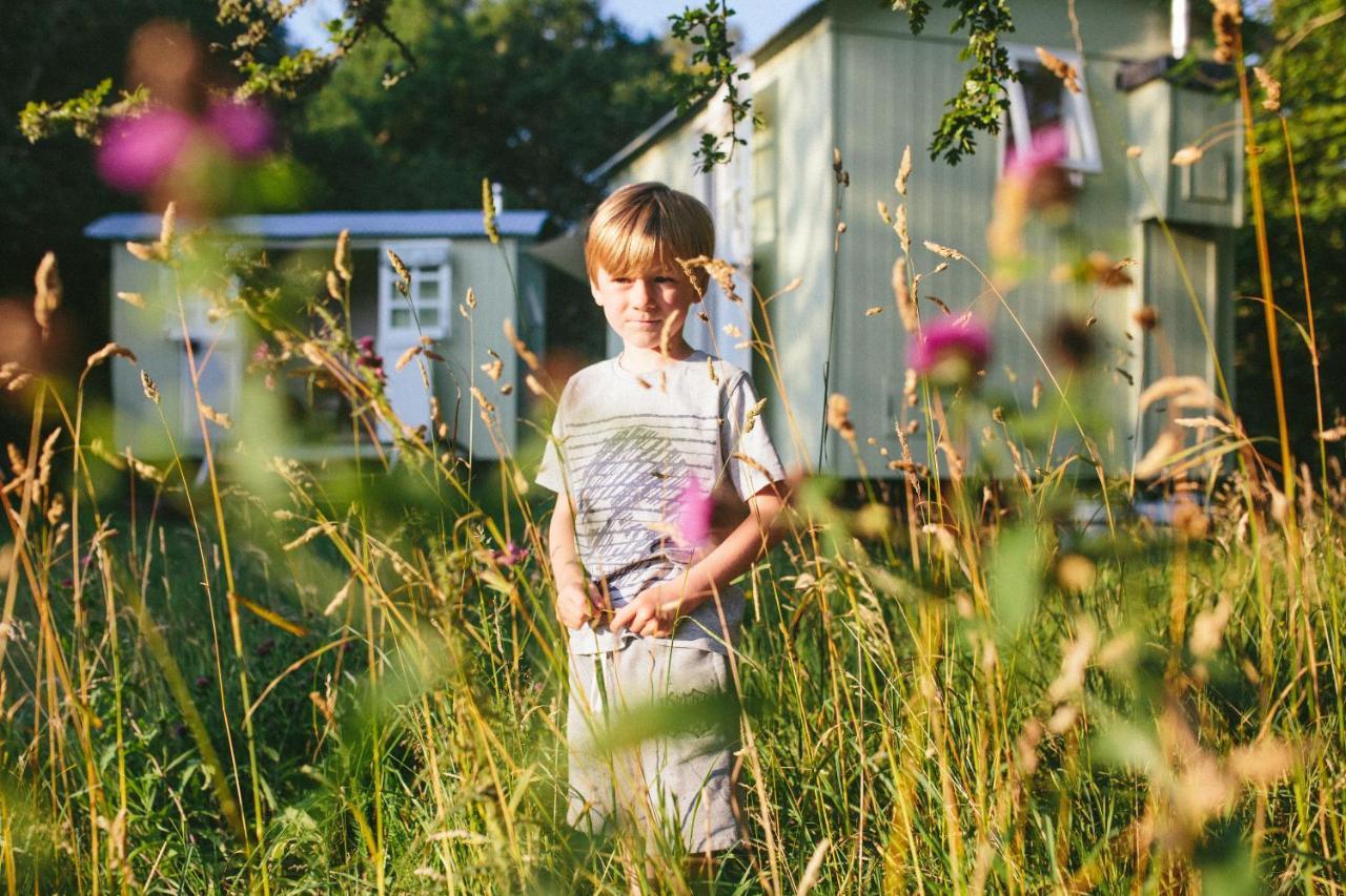 Snowdonia Shepherds' Huts Conwy Bagian luar foto