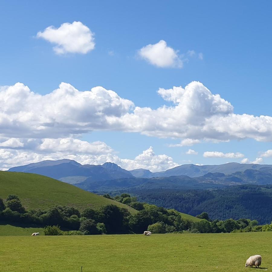 Snowdonia Shepherds' Huts Conwy Bagian luar foto